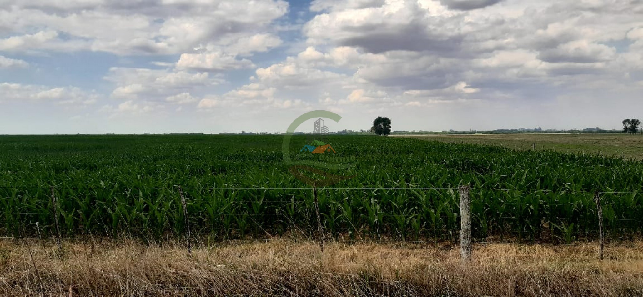 177 ha Mixtas - Pergamino 
