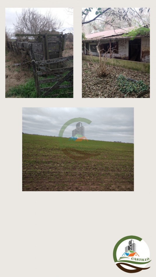 192 ha agricolas - chascomus