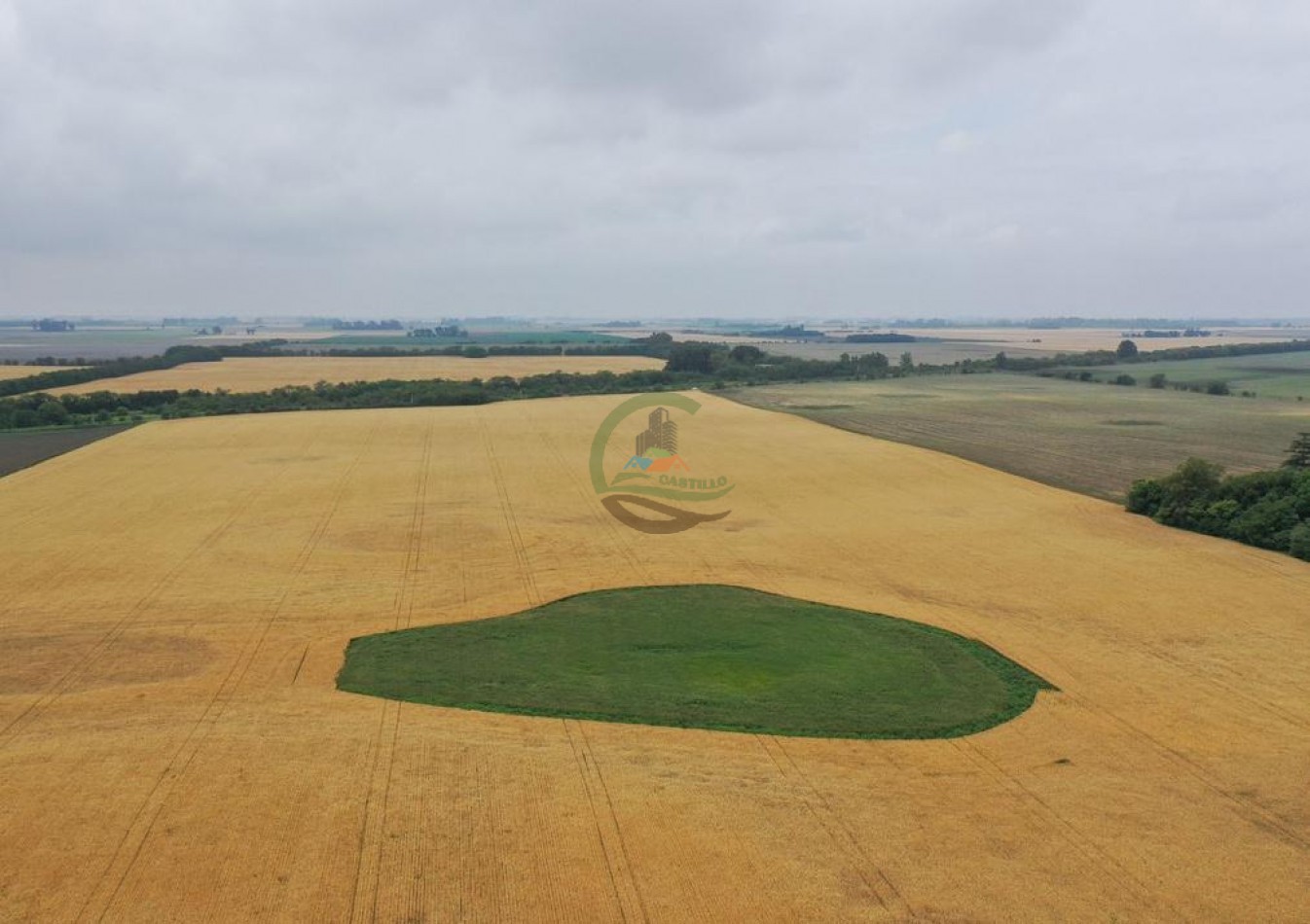 118 Ha Agricolas - Irala - Bragado