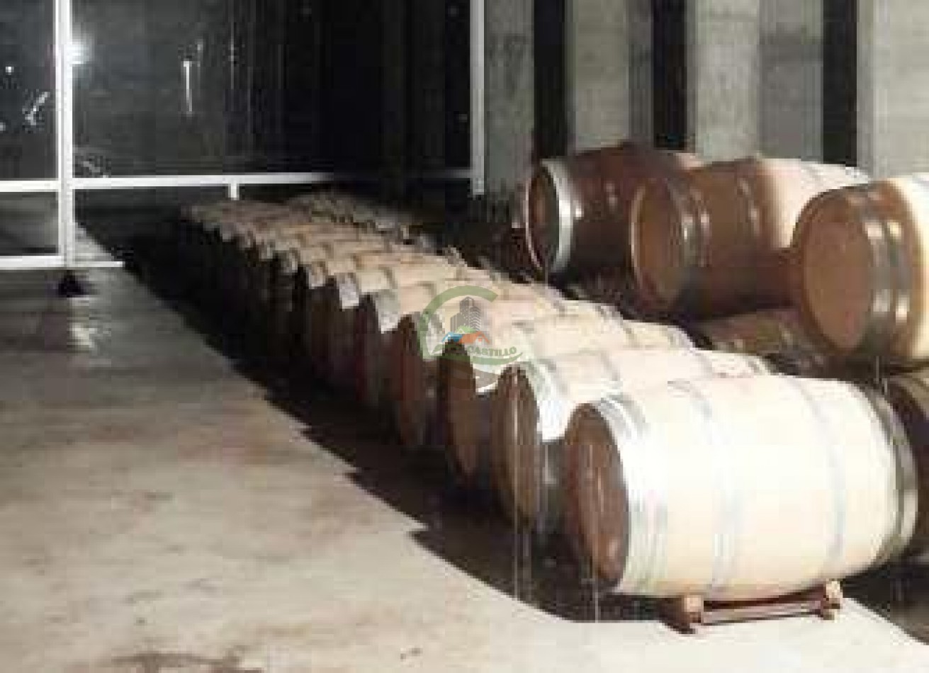 420 Ha Mixtas - El Nogalar - Viñedo y Bodega - Tucuman 