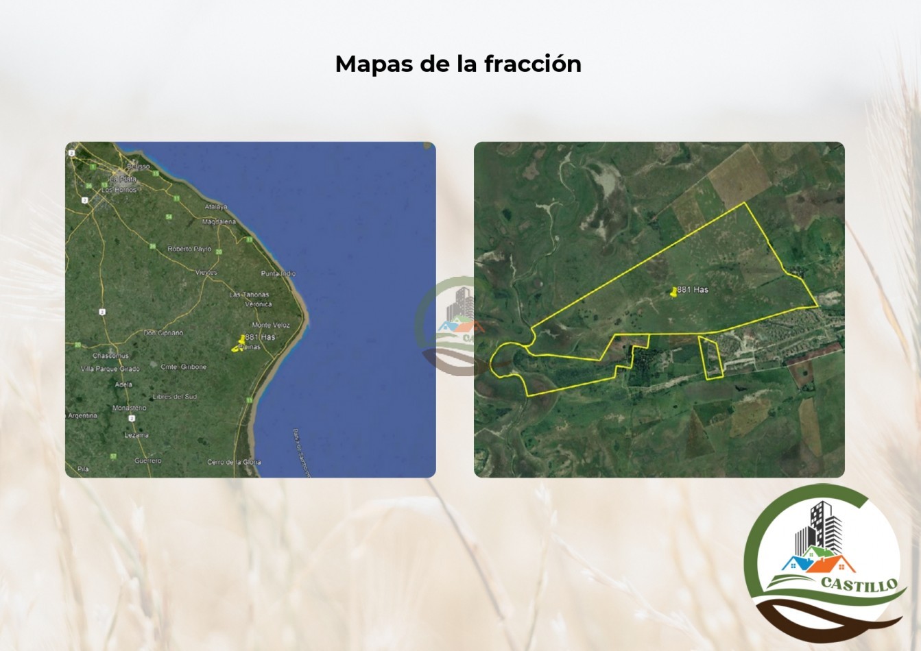 881 ha ganadero . punta indio