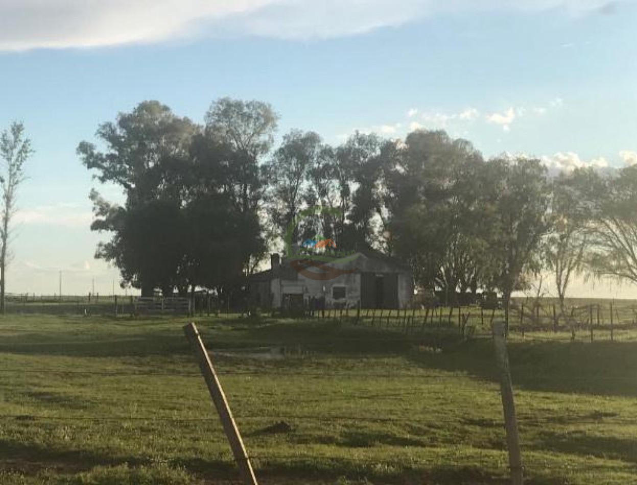875 Ha Mixto - Carlos Tejedor