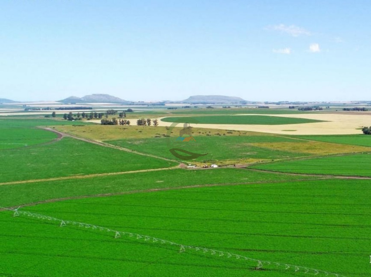 1970 Ha Agricolas - Balcarce