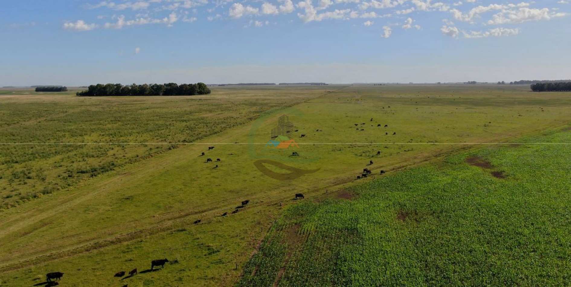 3977 ha Mixto - Olavarria