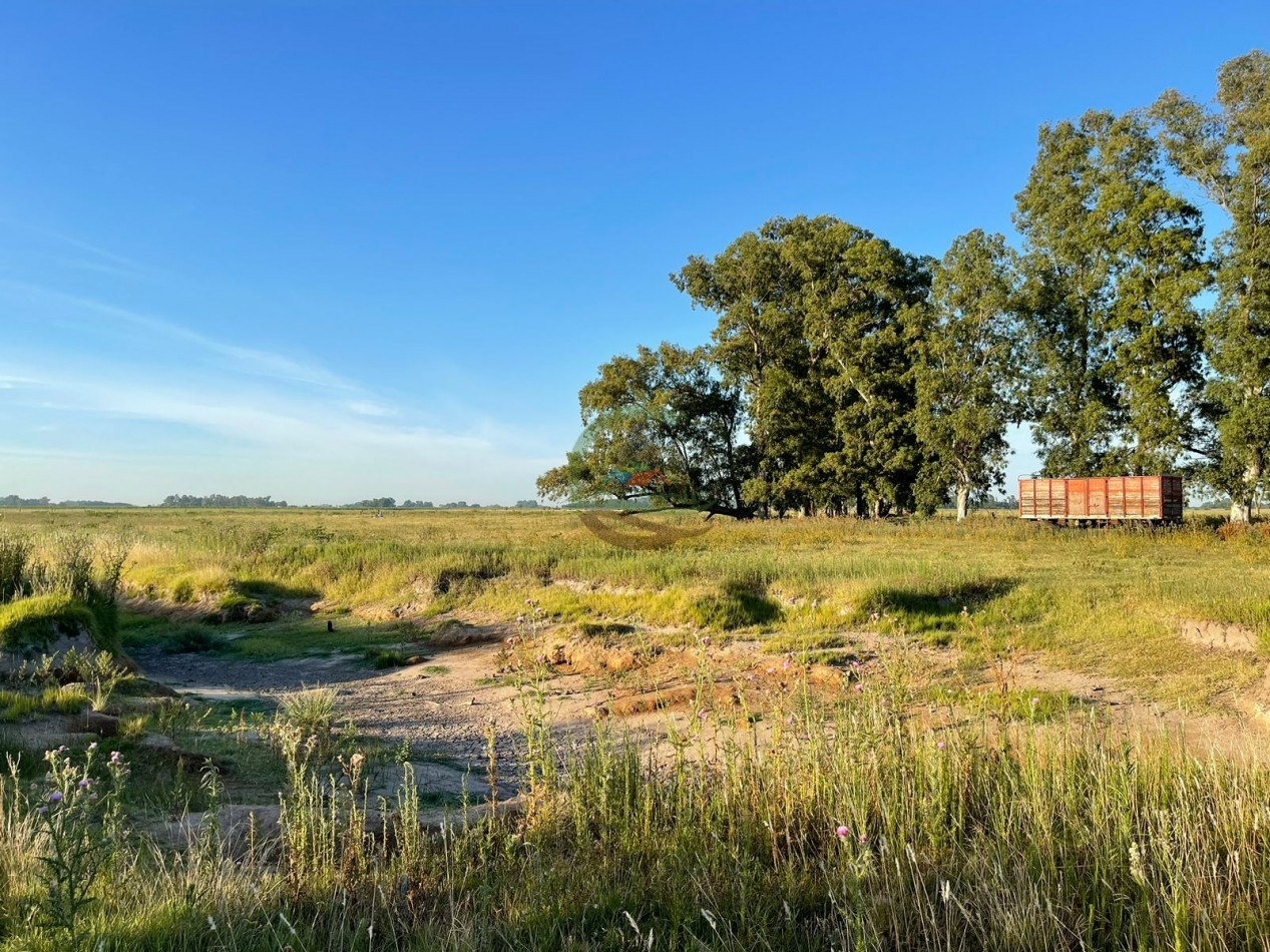 18 ha Mixtos - Pedernales