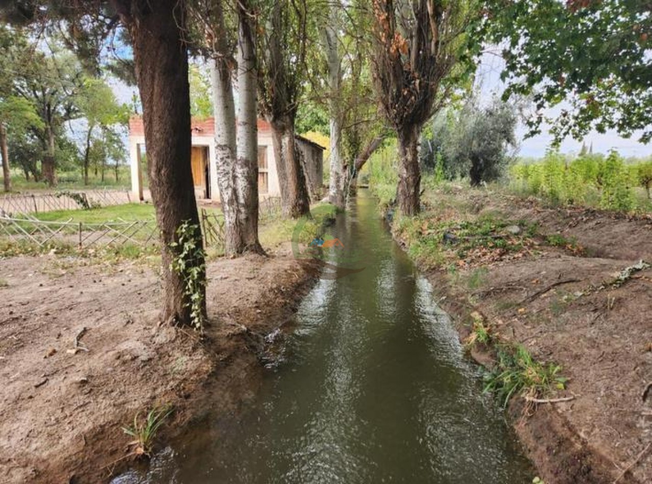 80 Ha Agricolas - San Martin - Mendoza