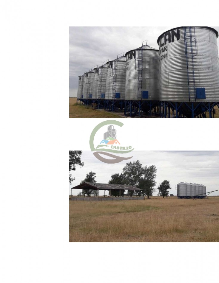 304 ha Mixtas - Olavarria 