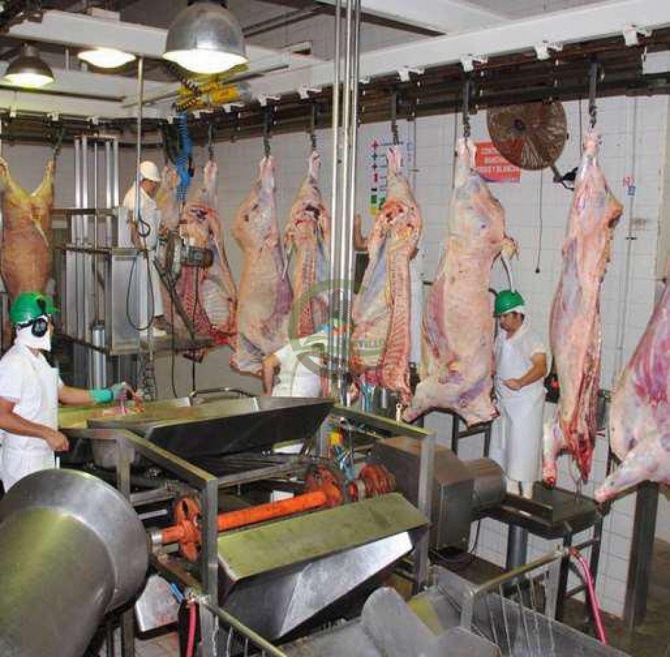 Frigorifico - con feedlot- Exportadora - La Adela - La Pampa
