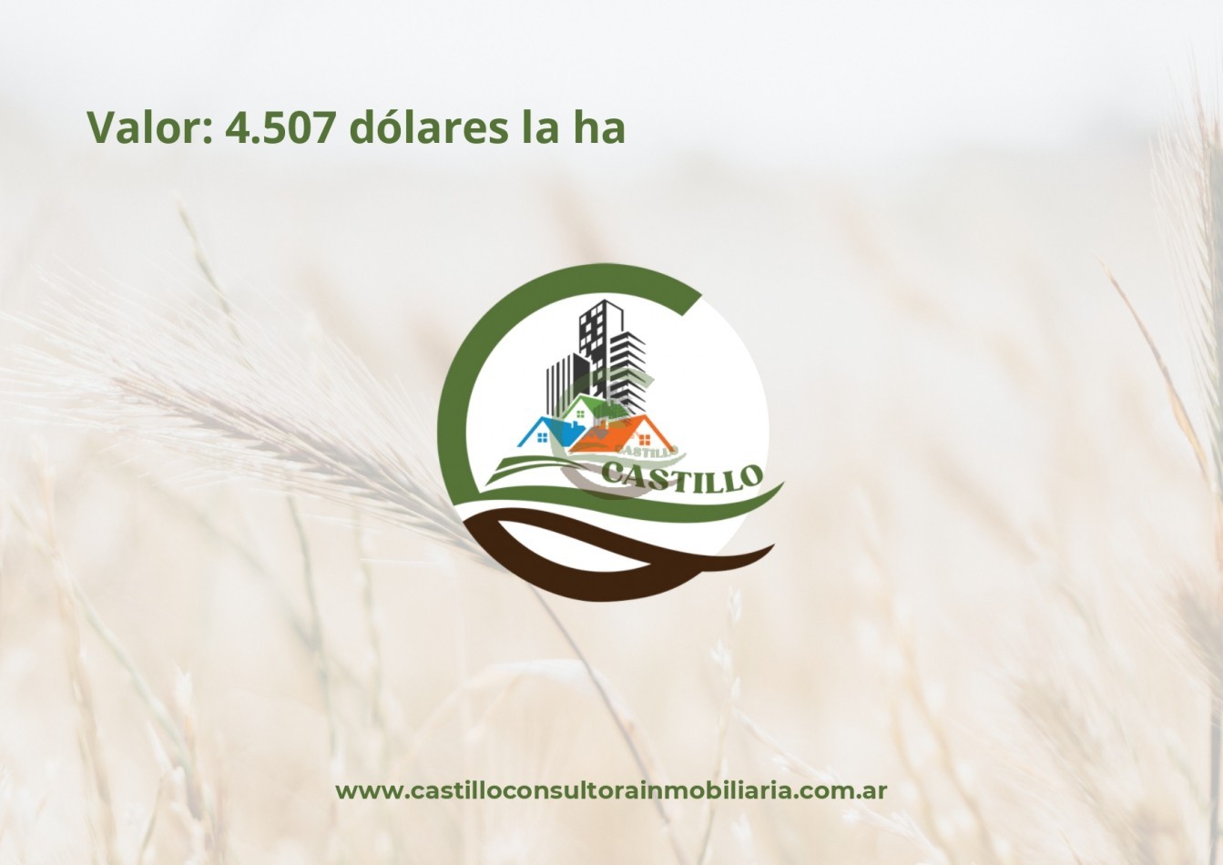 1886 ha mixtas - cordoba