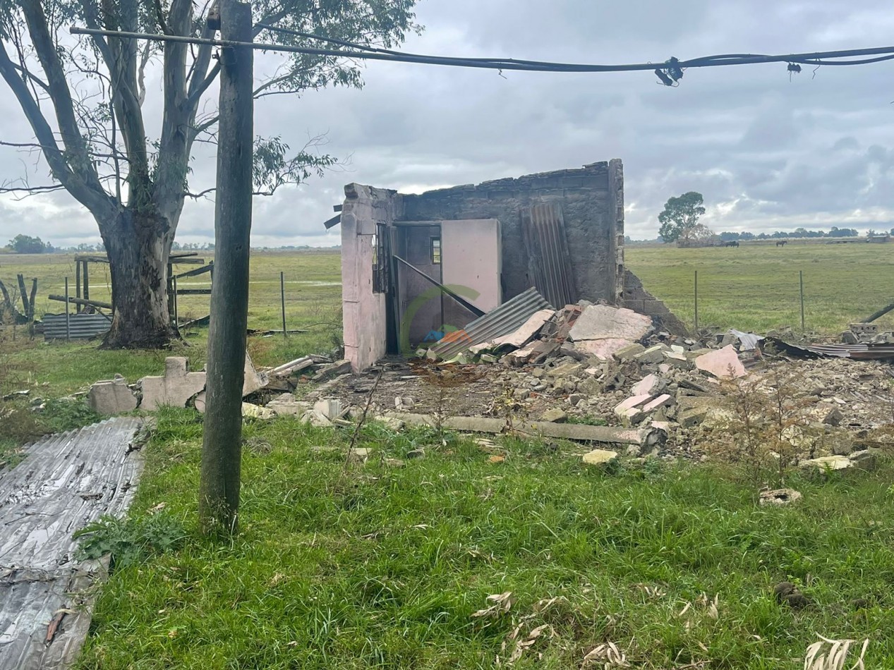 47 ha Ganadera - Olavarria