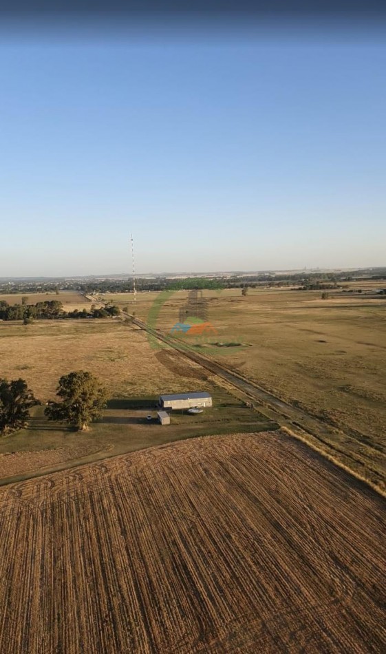 25 ha Mixto - Olavarria 