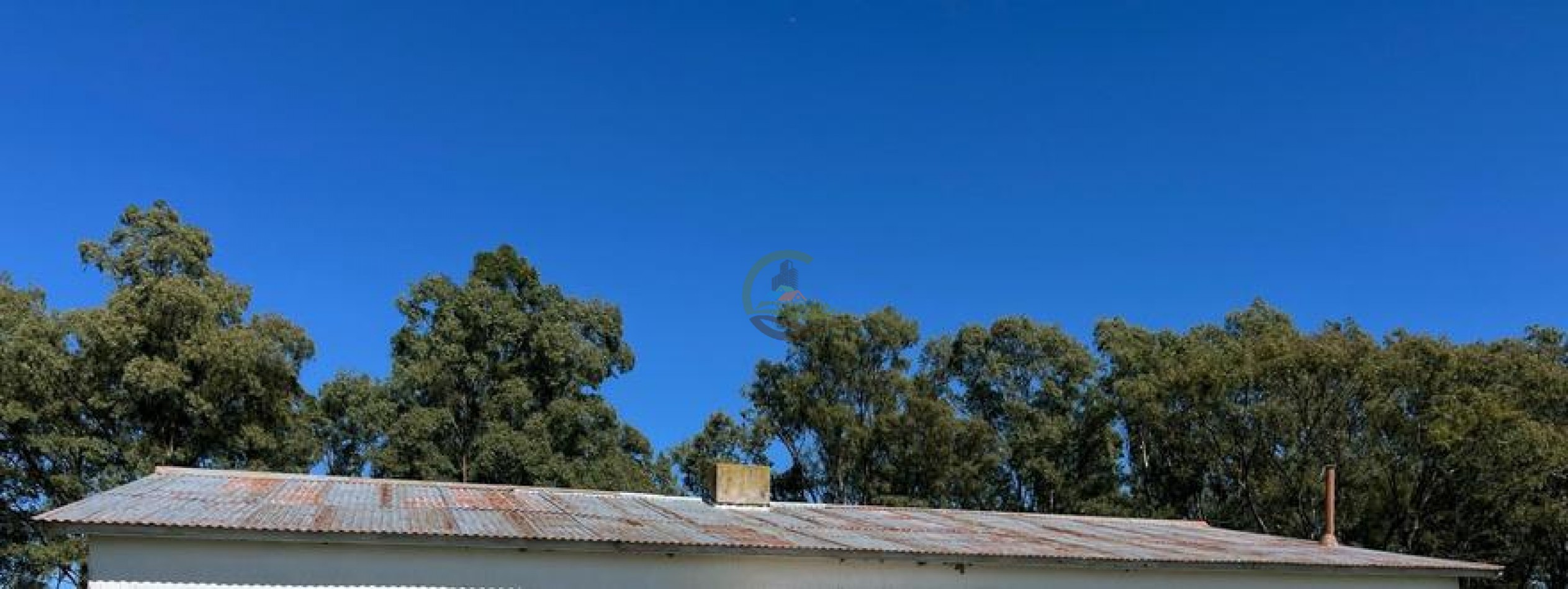 320 Ha Mixtos - Tres Arroyos