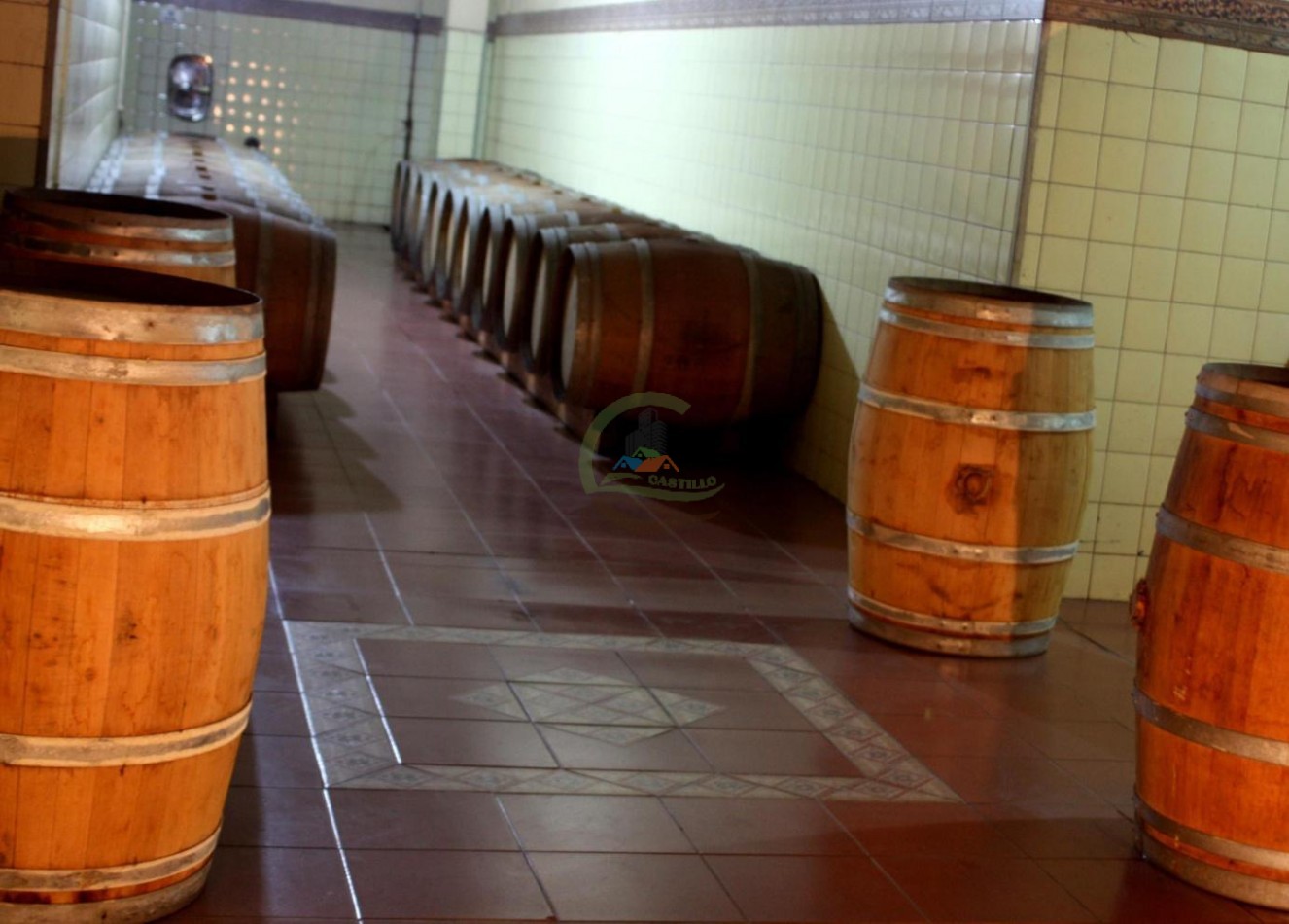 440 ha - Bodega - Mendoza