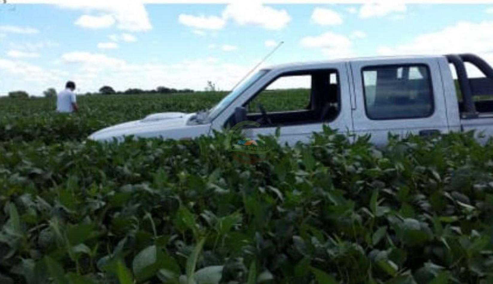 520 Ha Agricolas - Villa Mercedes - San Luis