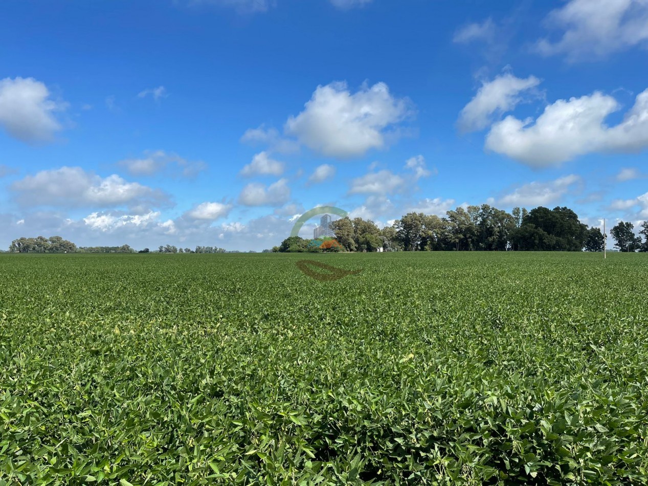 84 ha mixta - Bolivar