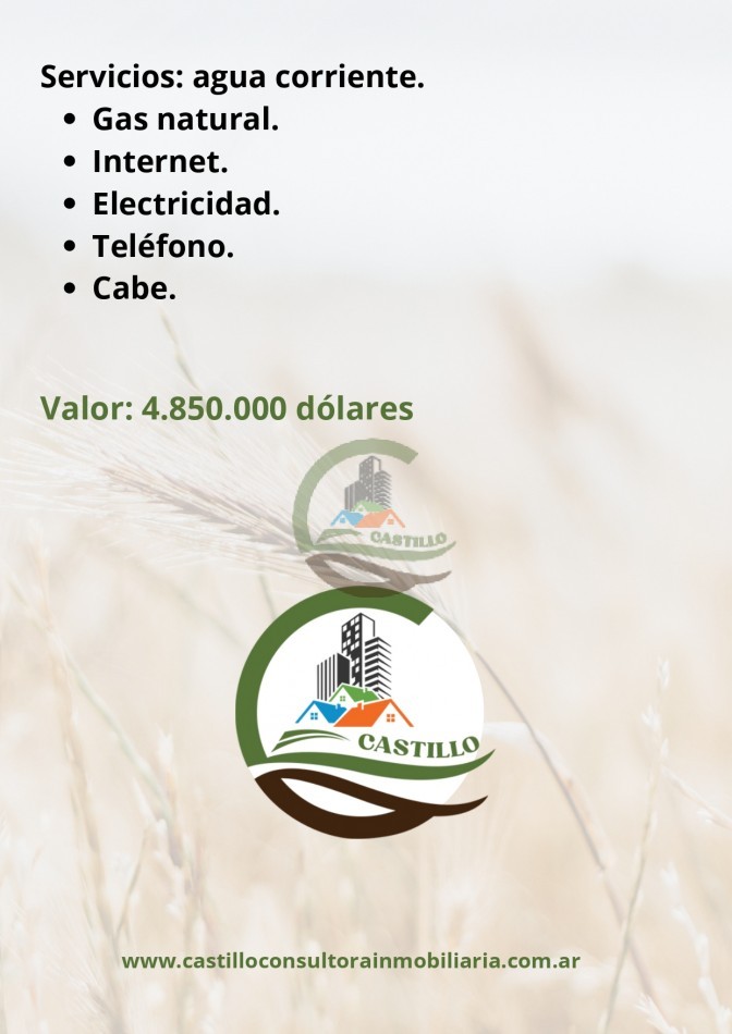 212 ha - san martin de los andes