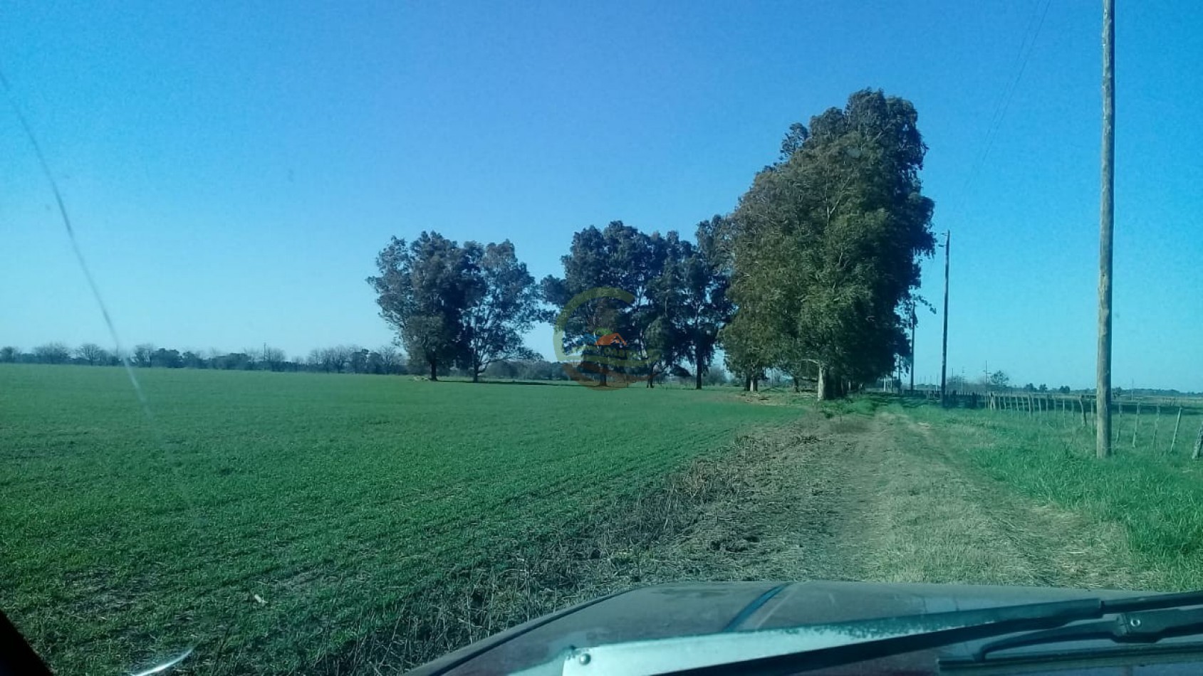 15 ha Agricolas - Cañuelas