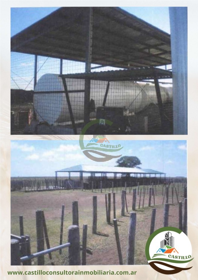 41539 Ha Mixto - Ituzaingo - Corrientes