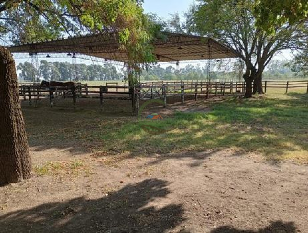 60 ha Haras - San Andres de Giles