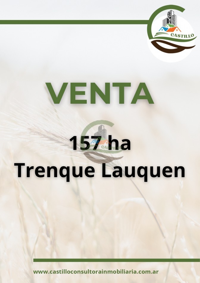 157 ha agricolas - trenque lauquen