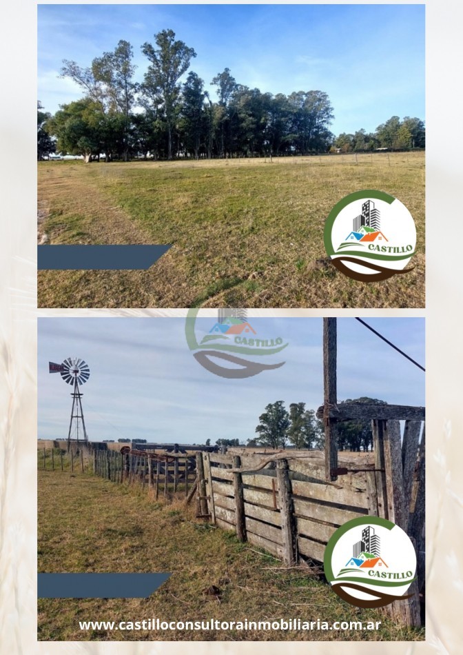 34 ha ganadera - Olavarria