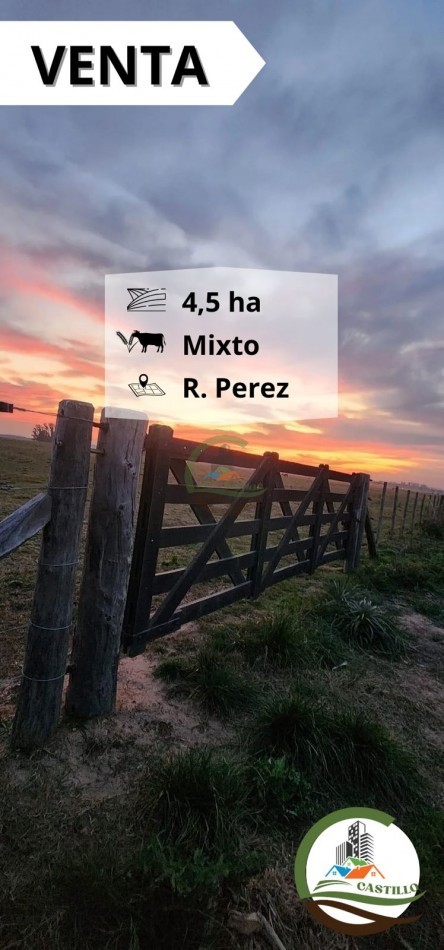 4,5 ha Mixta - Roque Perez