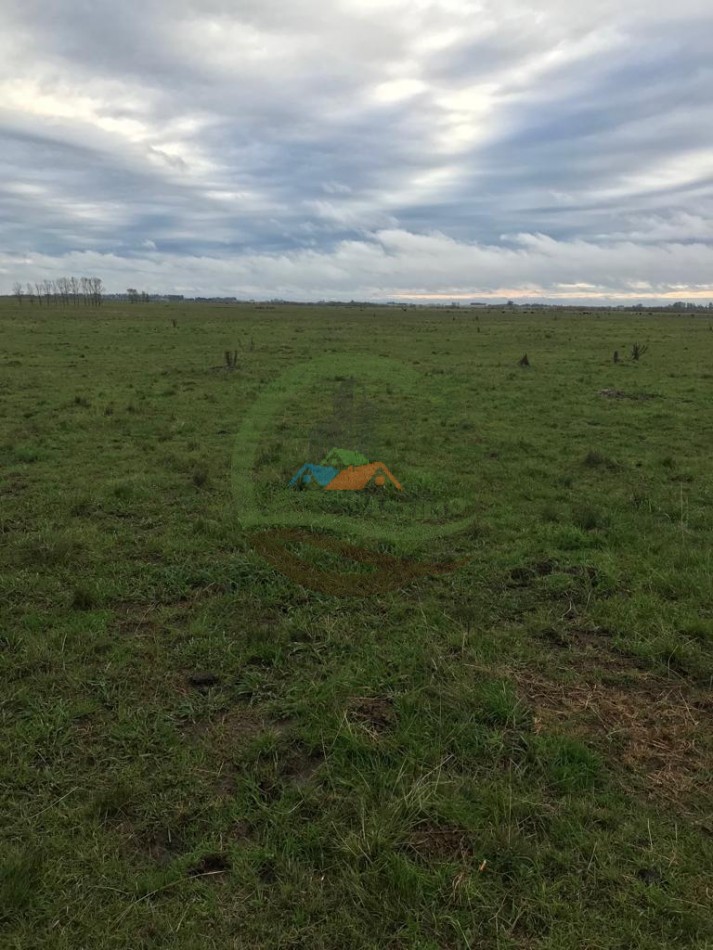 177 ha Mixtas - Pergamino 