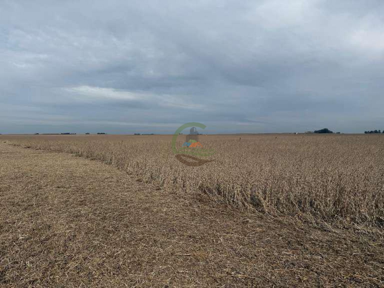 639 Ha Mixto - Urdampilleta - Bolivar