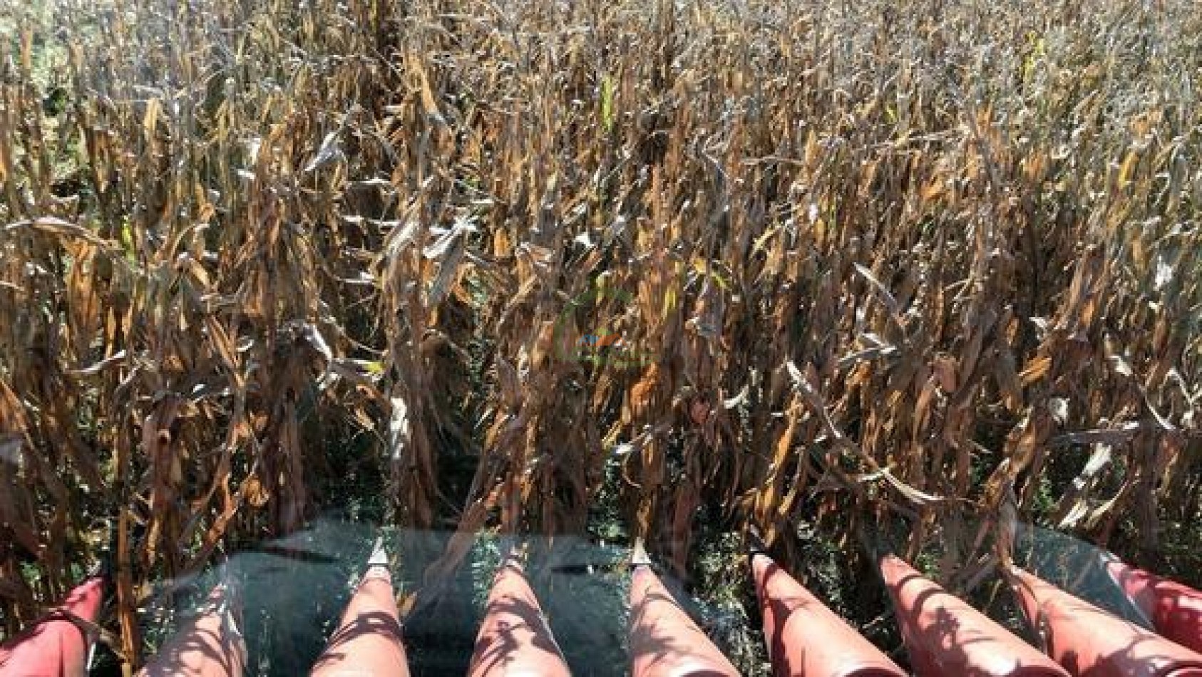 1370 Ha Agricolas - Gral Alvear