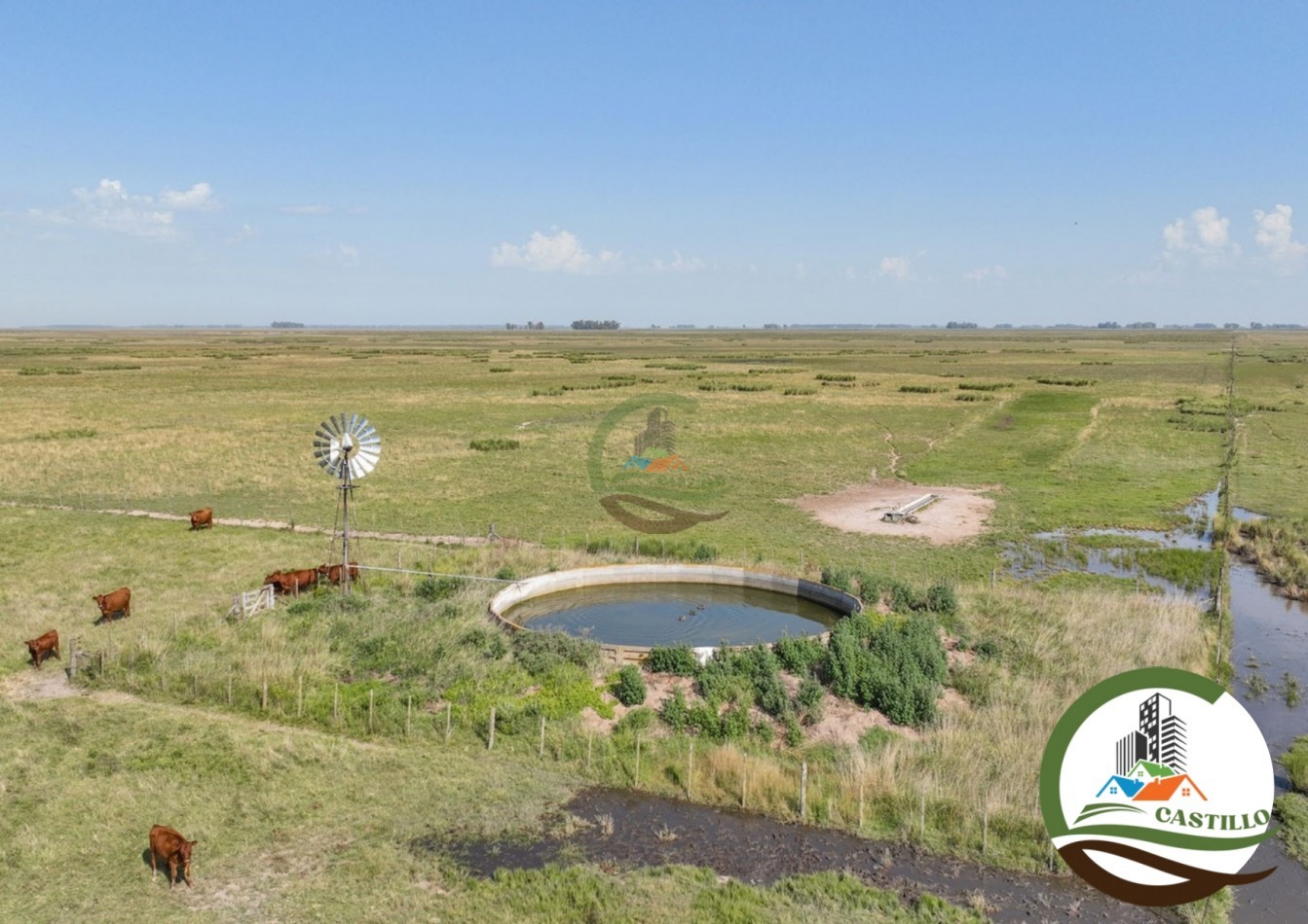 3275 ha ganaderas - general alvear