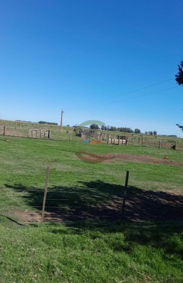 350 ha Agricolas - San Cayetano