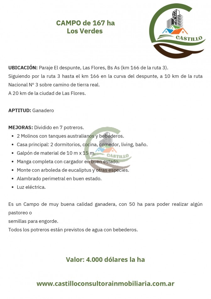 167 ha ganadero - las flores