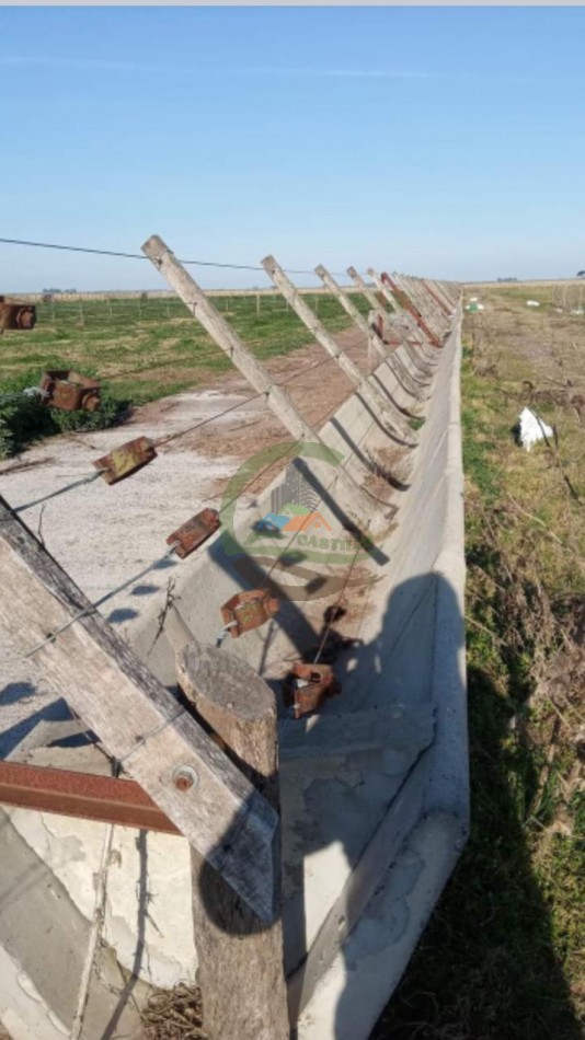 200 ha MIxtas . Tapalque 