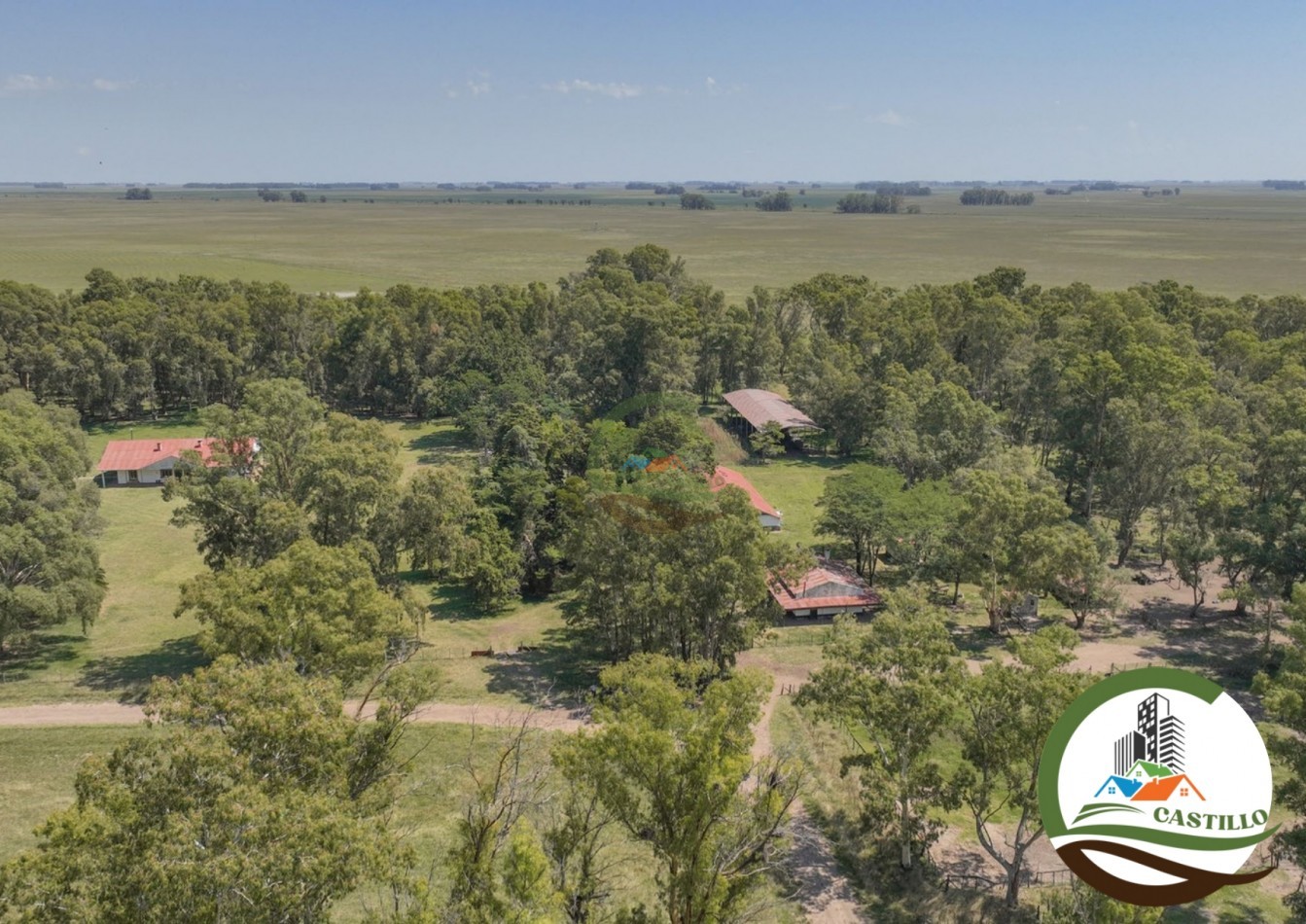 3275 ha ganaderas - general alvear