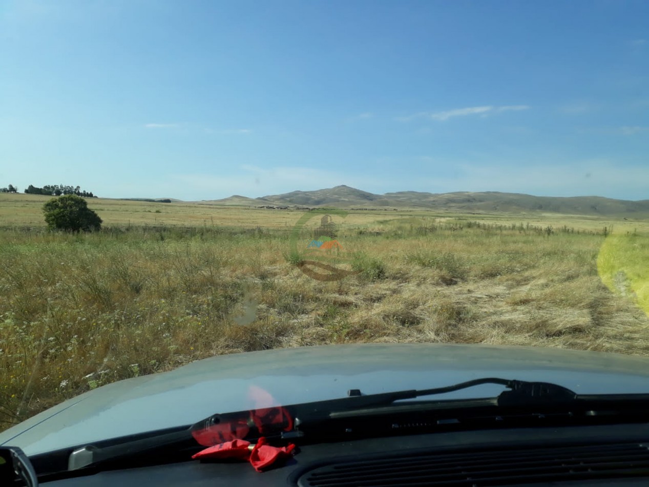 100 ha MIxtas - Sierras de la Ventana