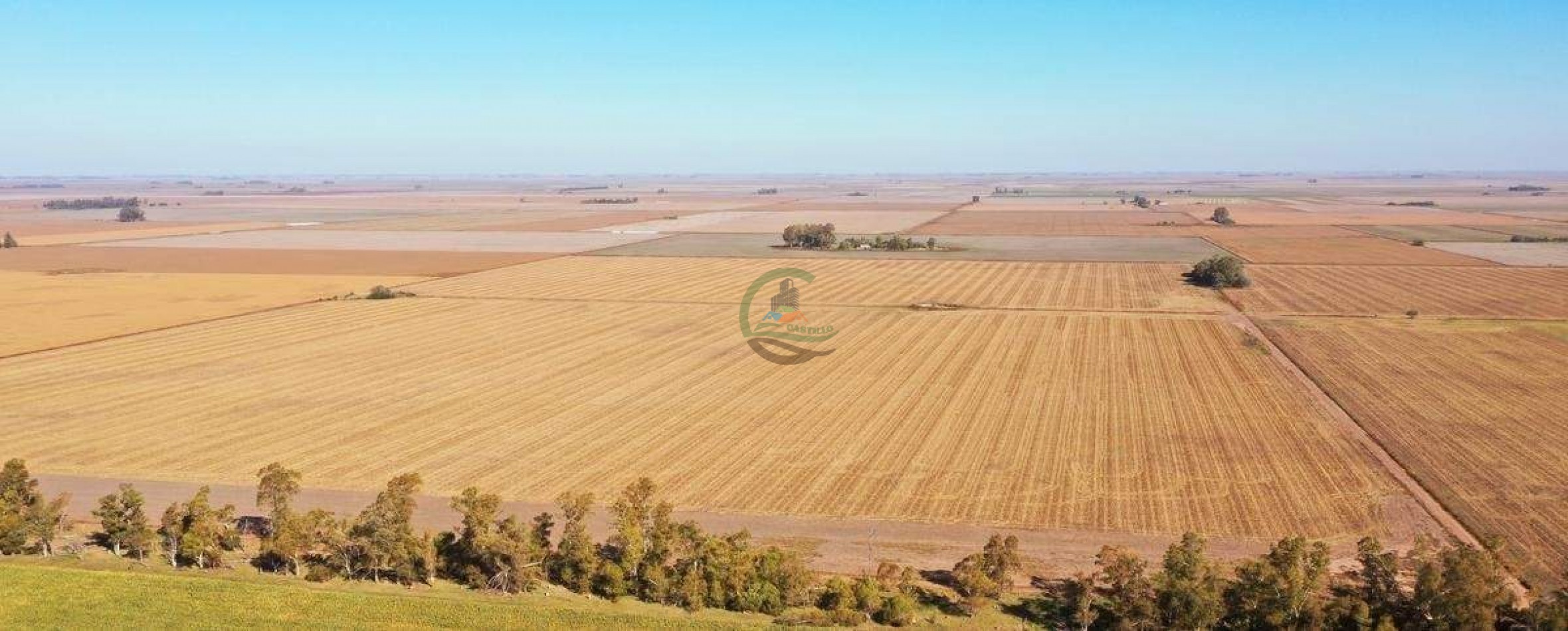 1138 ha agricolas - gral villegas