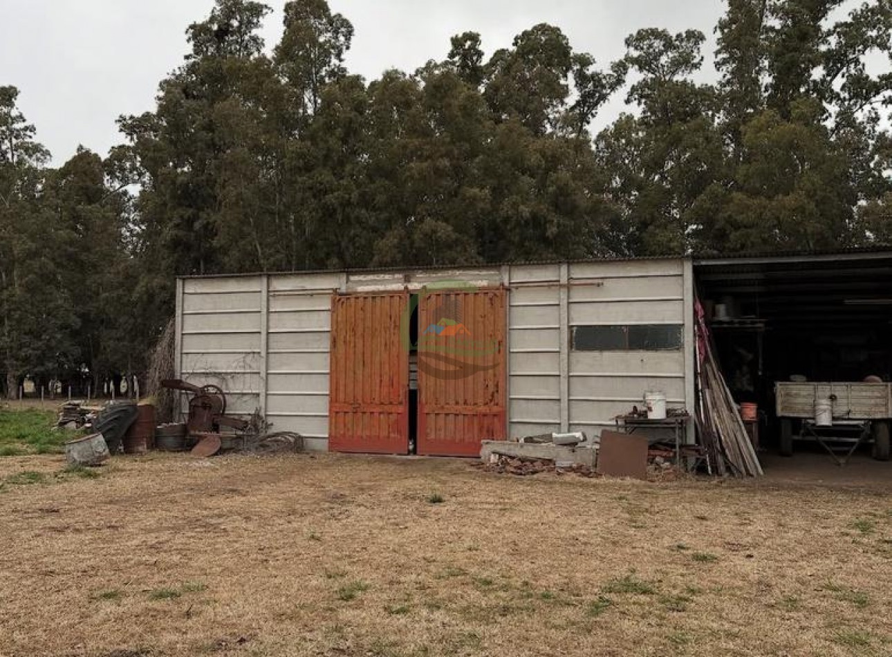 328 Ha Mixto - Colman - Rauch