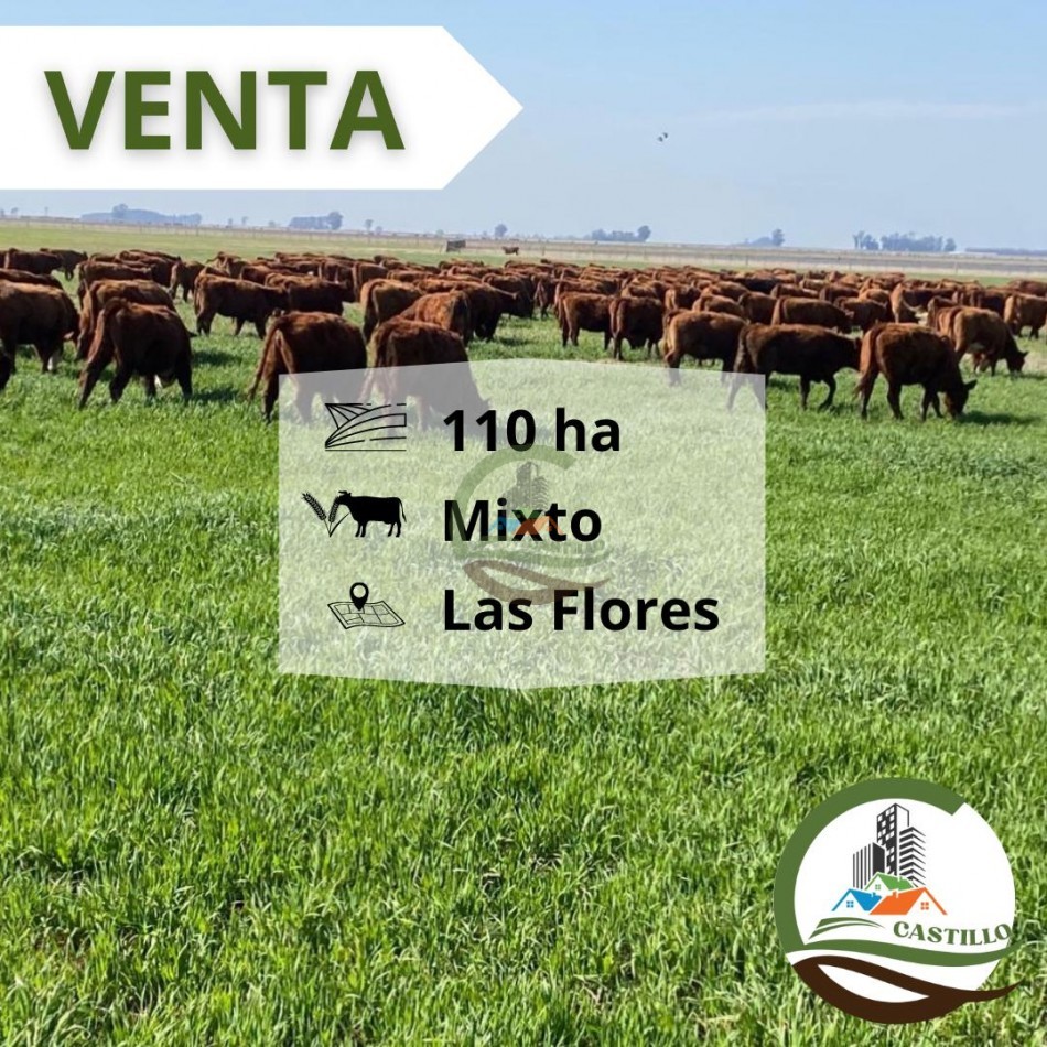119 ha mixtas - las flores