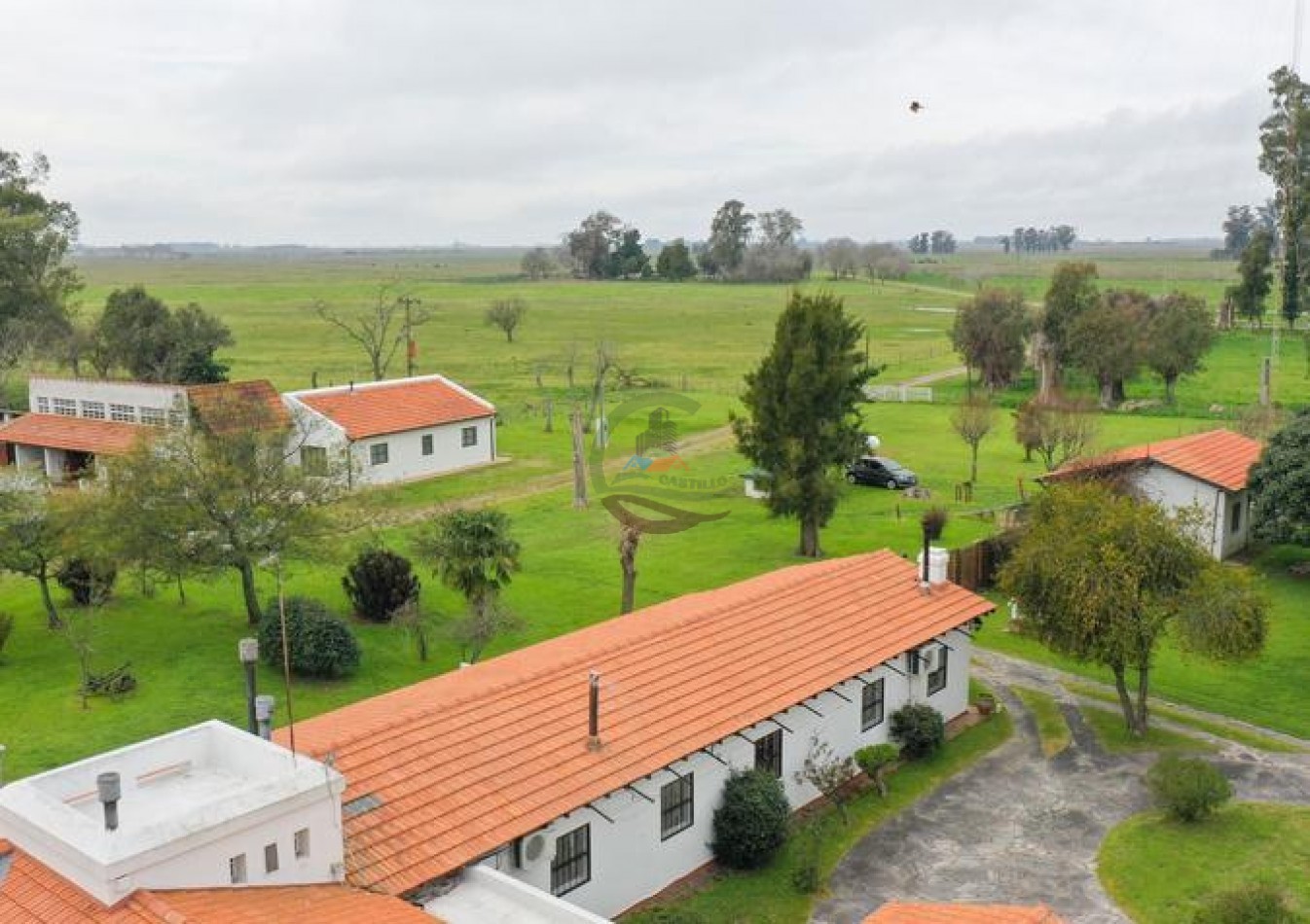 1795 Ha Ganadero - Chascomus