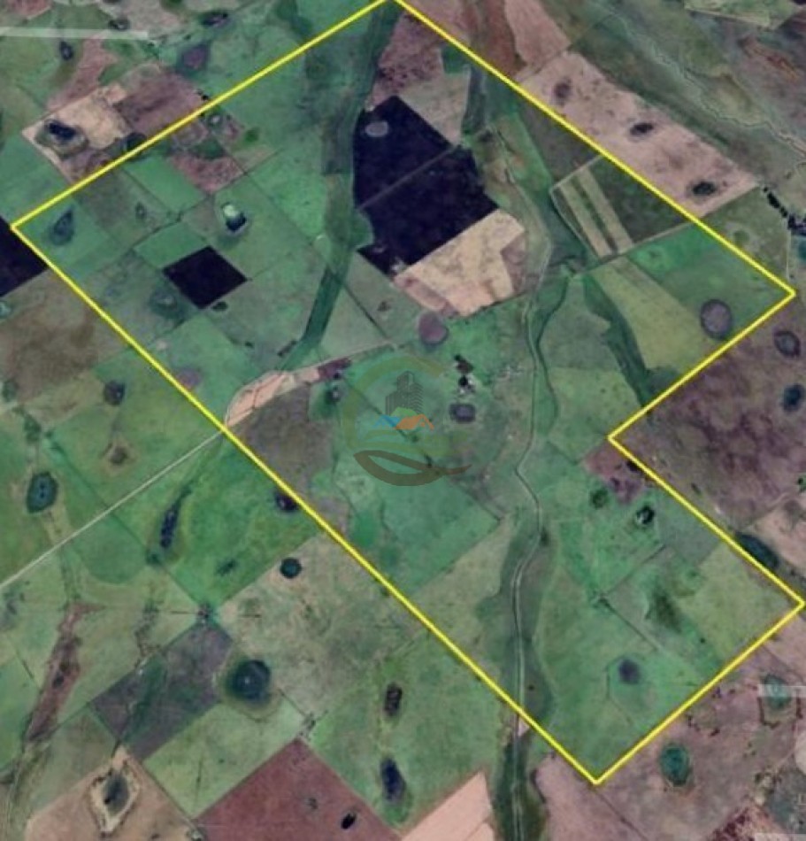 1437 Ha Mixta - Olavarria