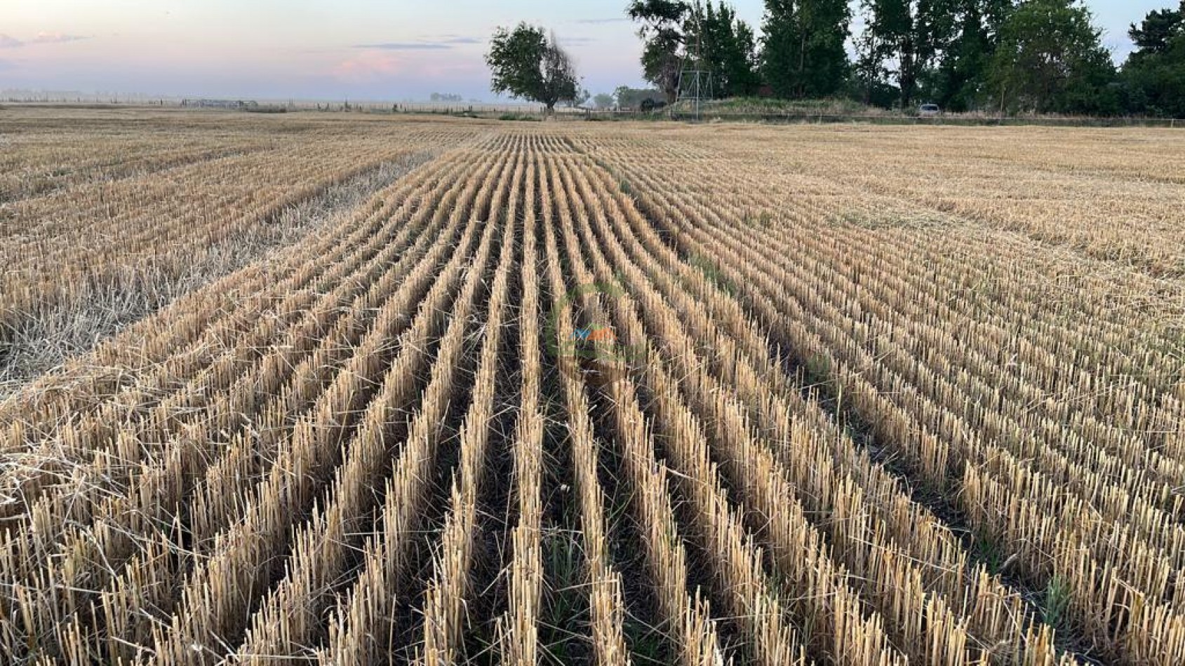210 ha Agricolas - 25 de MAyo 