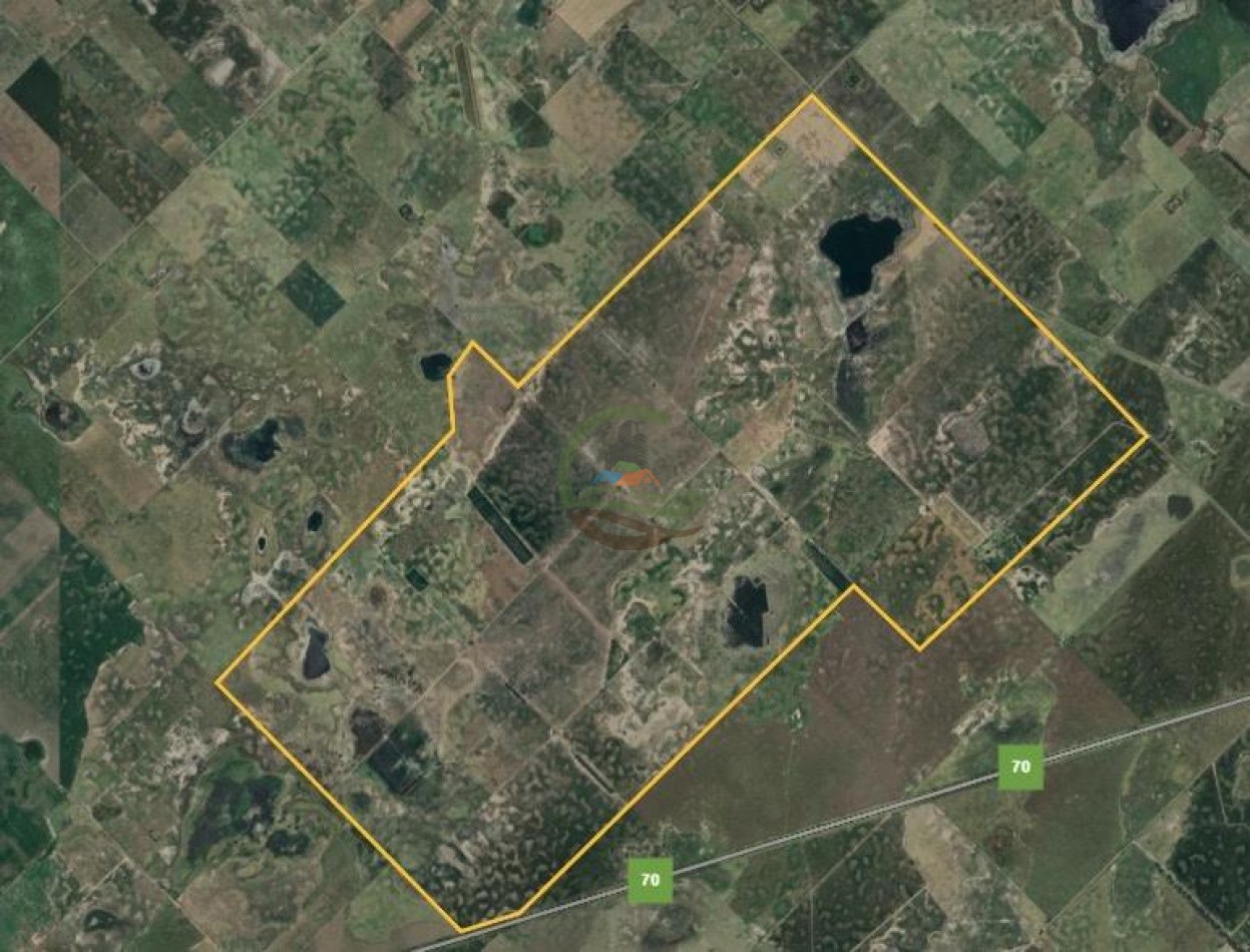 2213 Ha Mixto - Colonia Sere - Carlos Tejedor