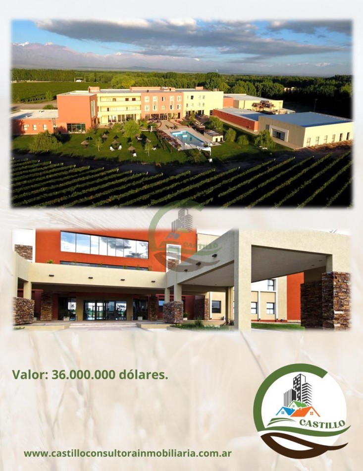Hotel 4 estrellas y casino - Mendoza - ruta del vino