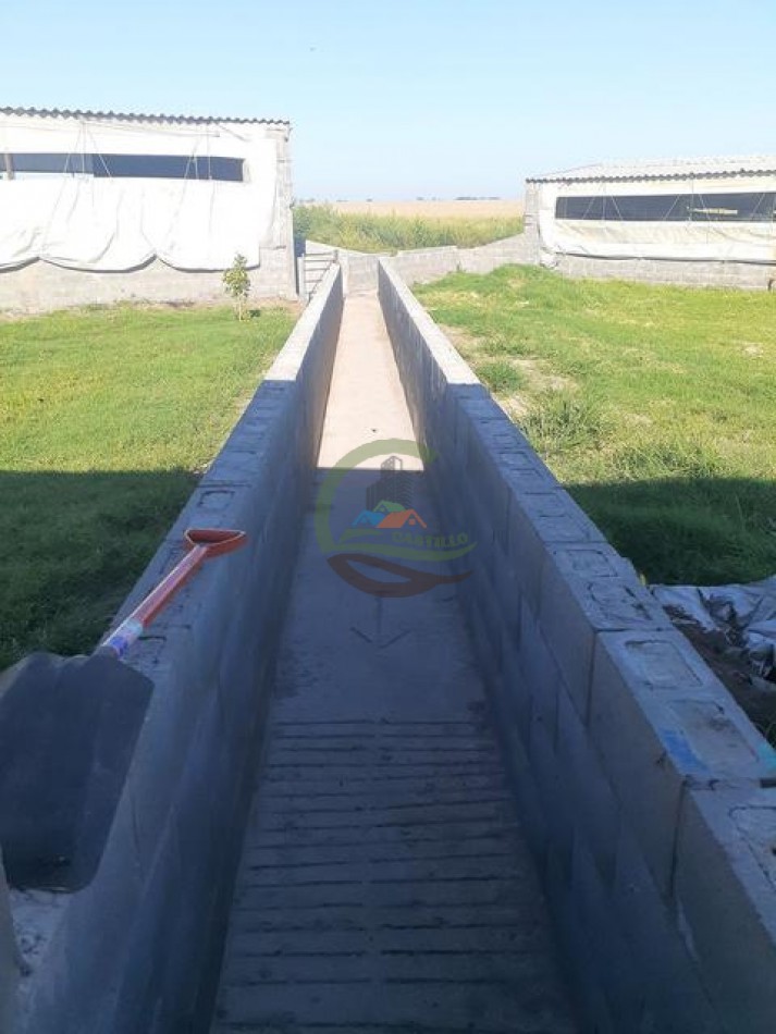 95 Ha Granja de Cerdos - Trenque Lauquen