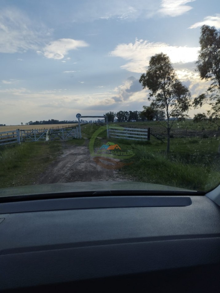 256 ha Mixto - Saladillo