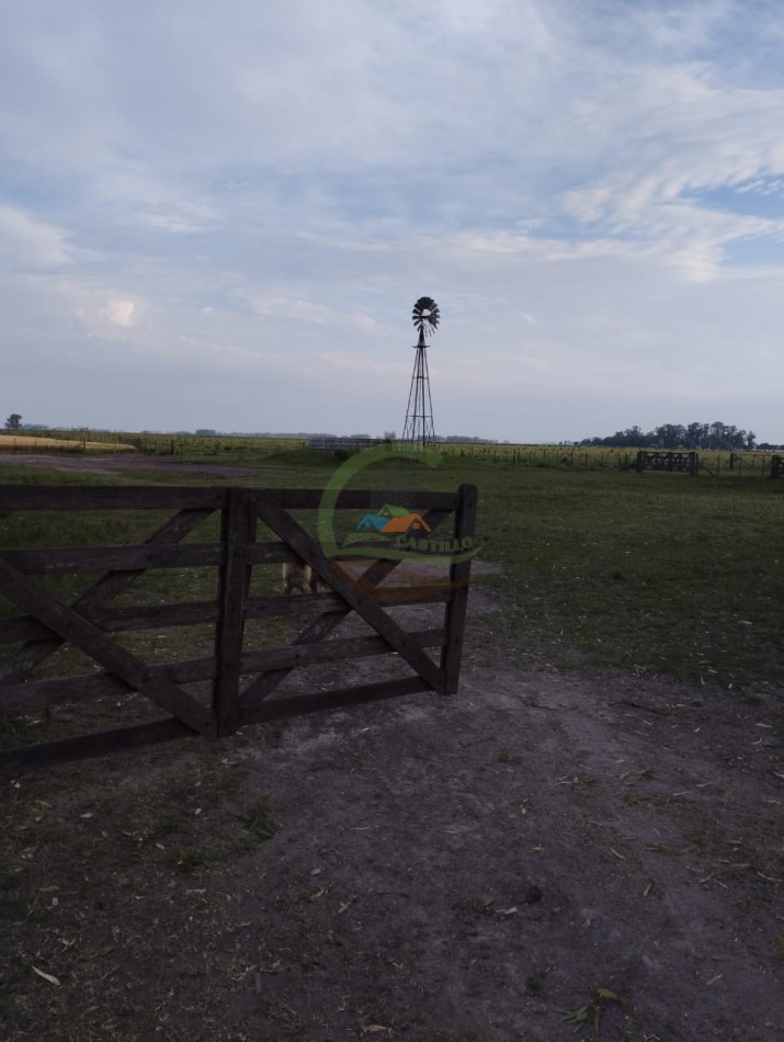 256 ha Mixto - Saladillo