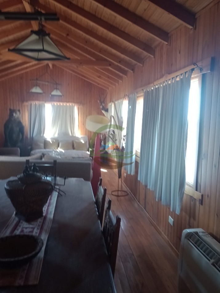 2500 ha Coto de caza - Quehue - La Pampa