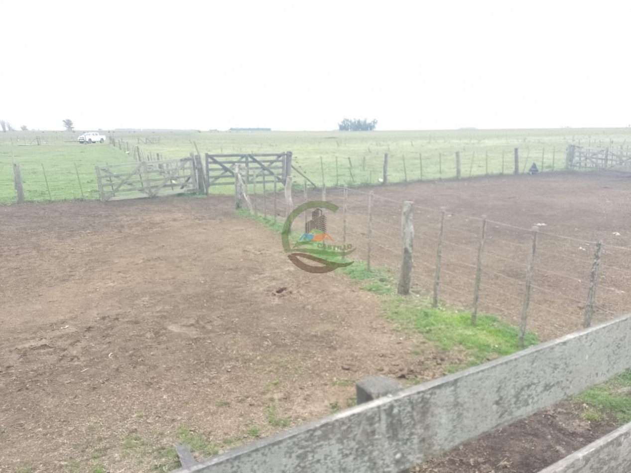 286 ha Ganaderas - Las Flores