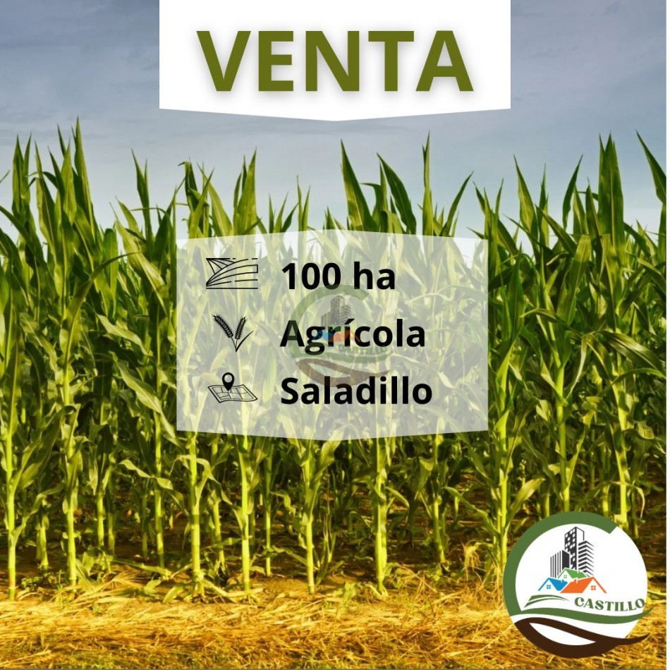 100 ha agricolas - saladillo