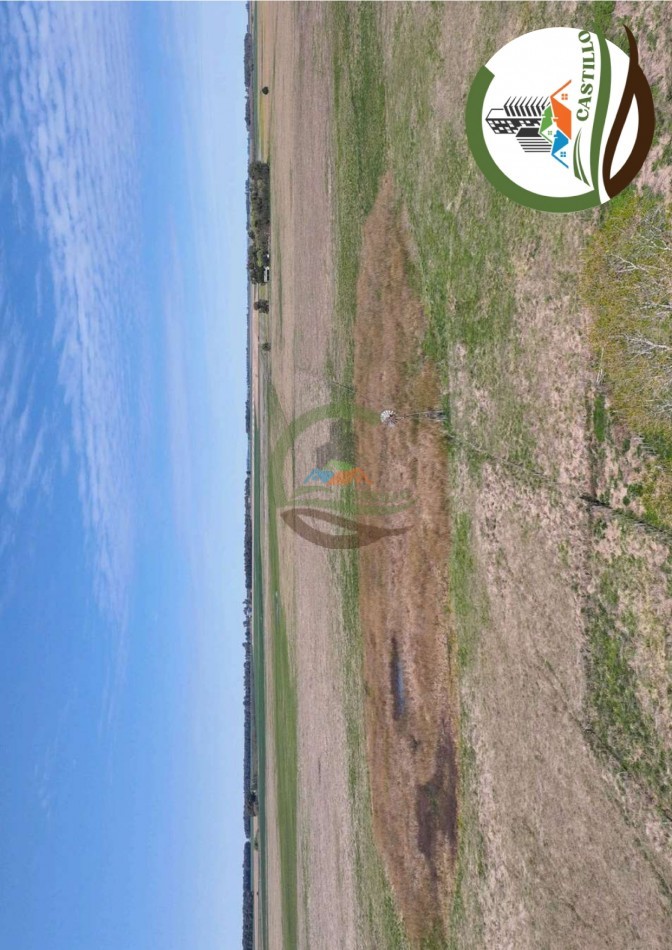 204 ha mixtas - olavarria